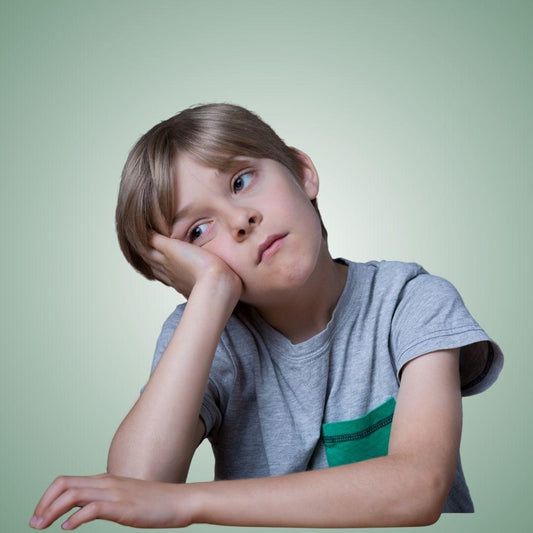Understanding the Four Zones and What It Means for your Child? - Bluebird Trading Co